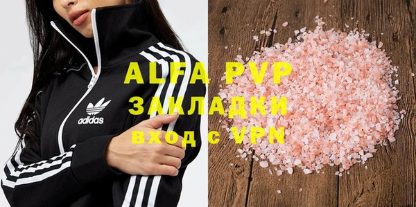 сатива Аркадак