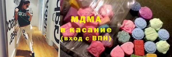 сатива Аркадак