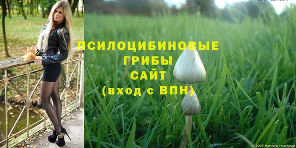 mdpv Арсеньев