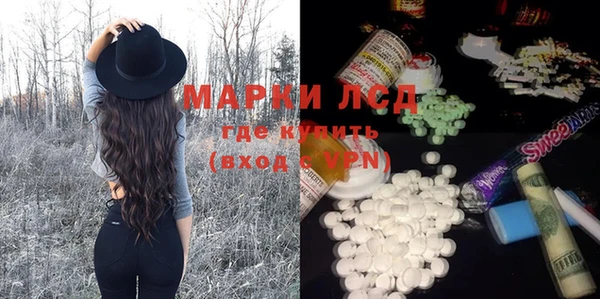 сатива Аркадак