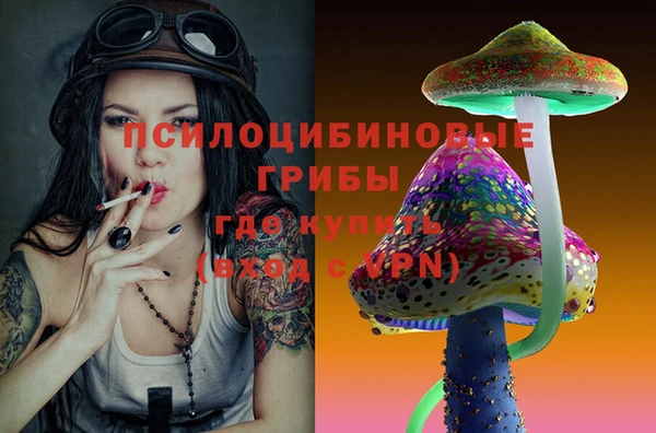 mdpv Арсеньев