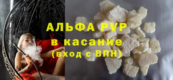 сатива Аркадак