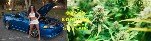 сатива Аркадак