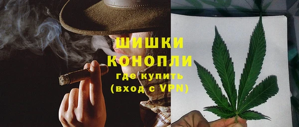 сатива Аркадак